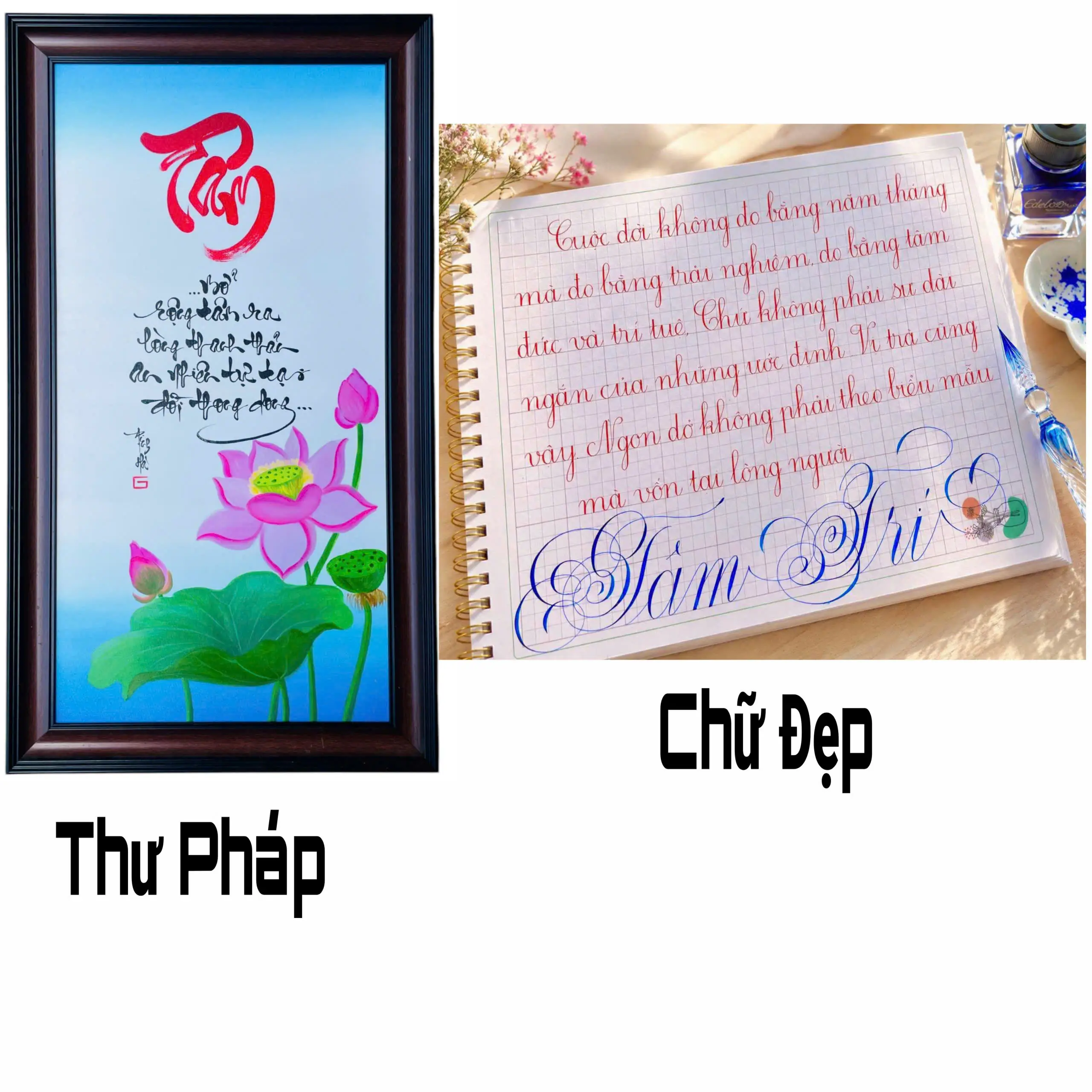 So sánh sự khác nhau giữa thư pháp và luyện chữ đẹp trong nghệ thuật viết chữ.