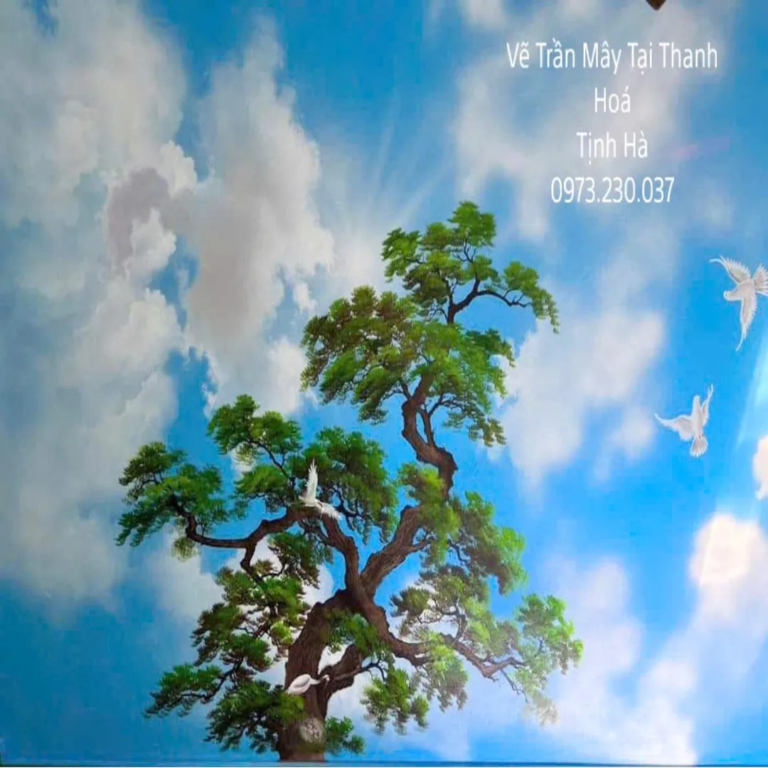 trần mây